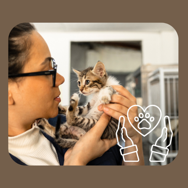 professional education for cat shelter staff and experts
