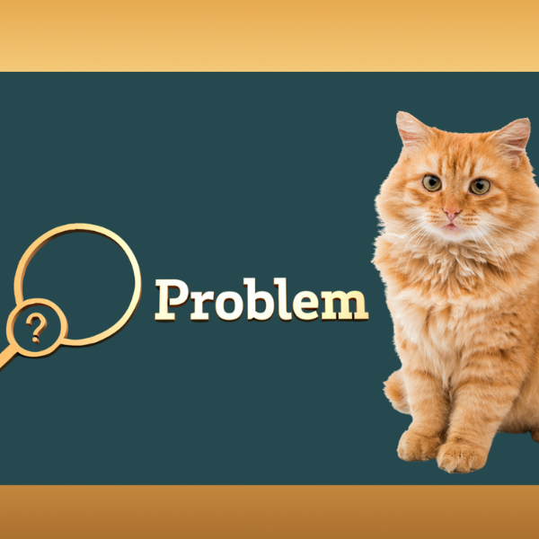 professional mentor coaching student on cat habitat design