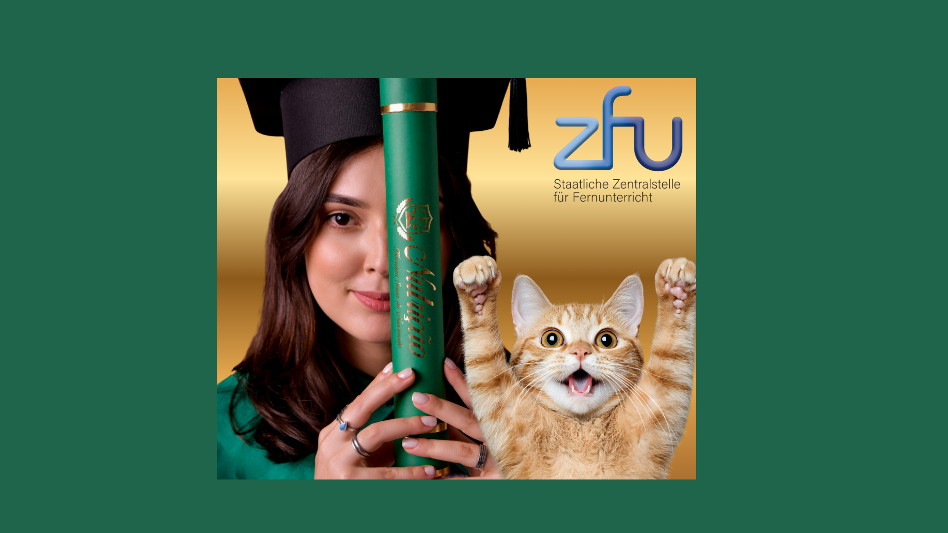 professional cat behavior consultant mentoring a client