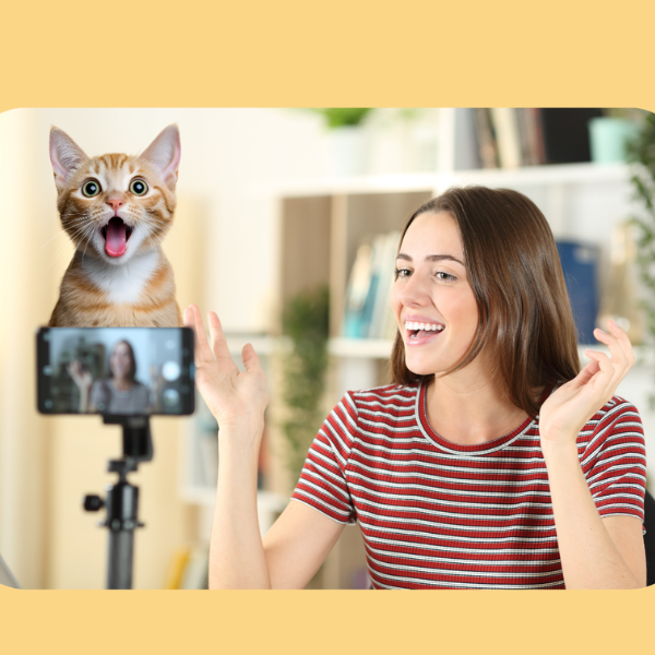 creative content creator working on cat education videos